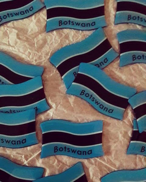 Botswana Travel Requirements How To Apply For The Evisa The Best   Botswana Travel Requirements Evisa Application 1 