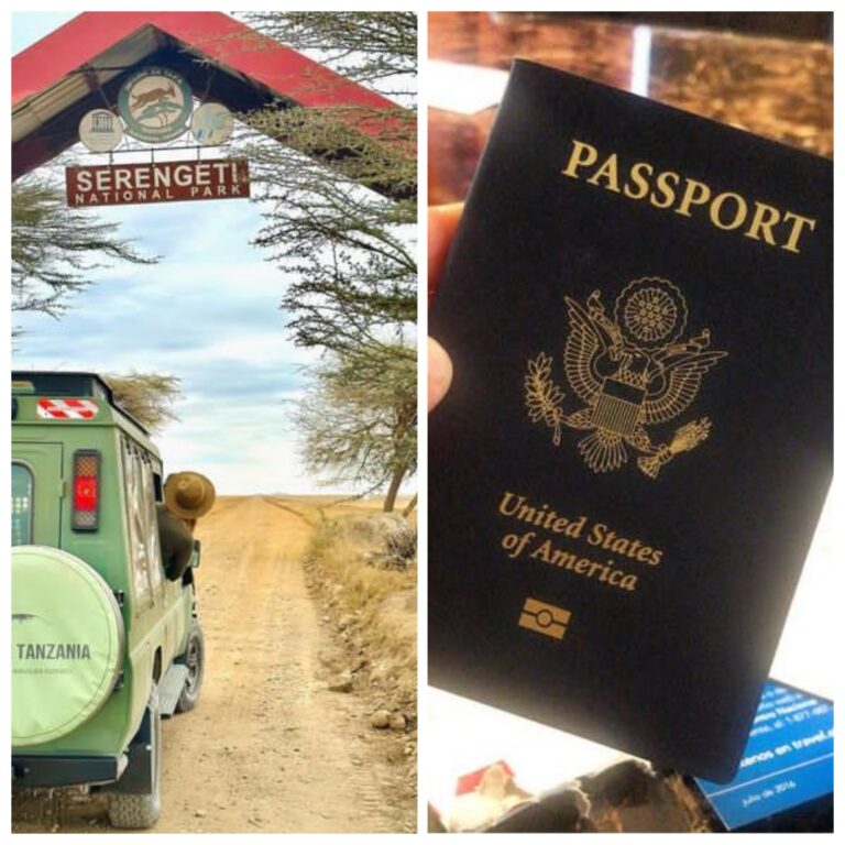 Tanzania Visa For US Citizens All You Need To Know The Best Travel   Tanzania Visa For US Citizens 768x768 