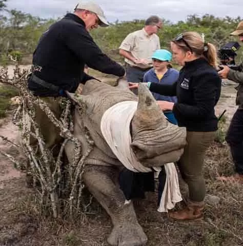 Kenya-Festivals-rhino-charge