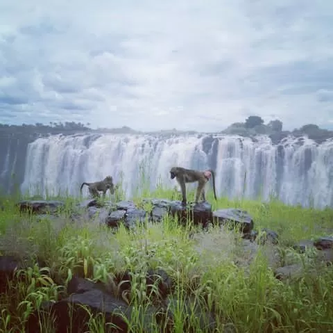 zimbabwe-victoria-falls-3