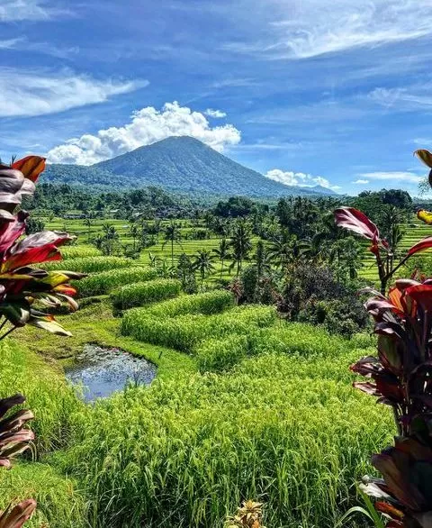 Bali-For-Tourists-Best-Things-To-Do-On-Your-Visit-7