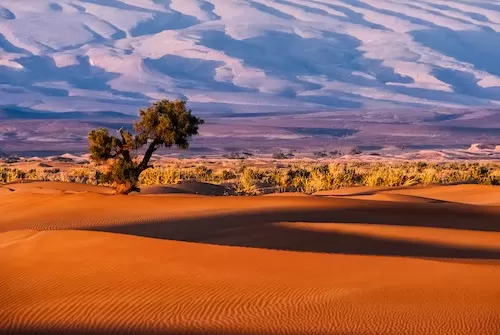 Namib Desert 2