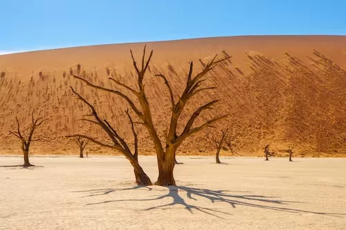 Namib-Desert