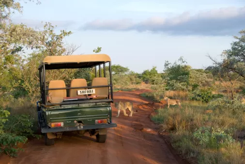 South Africa Kruger National Park