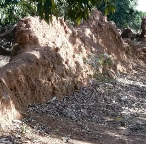 monument-of-slavery-Nalerigu-Defence-Wall-2