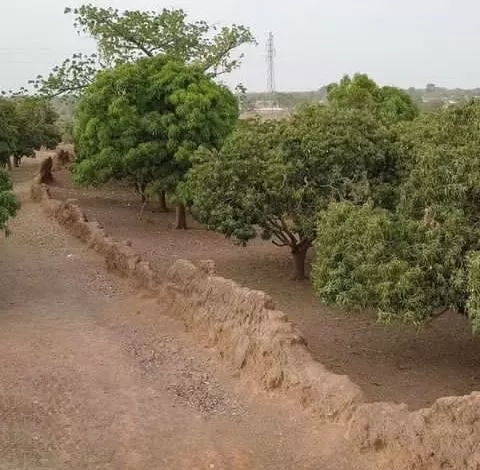 monument-of-slavery-Nalerigu-Defence-Wall