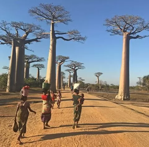 Madagascar-Island-3