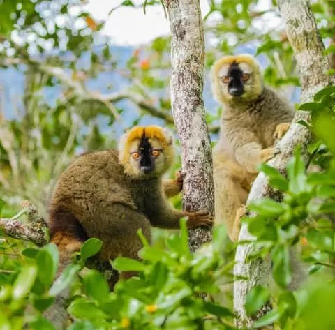 Madagascar-National-Parks-3