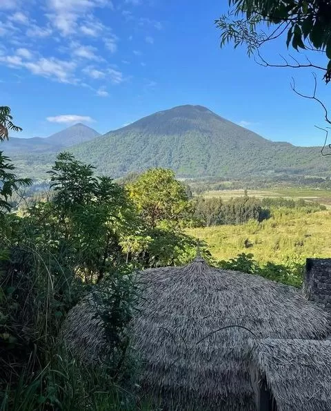 Rwanda Volcanoes National Park