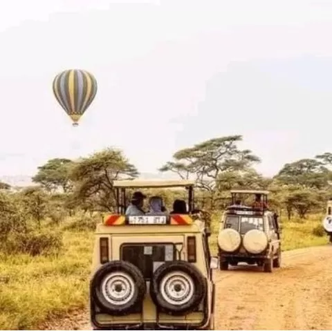 Tanzania Safari Tours