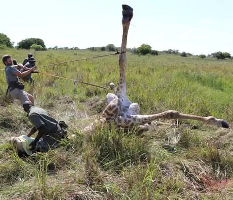 Mozambique-Safari-12