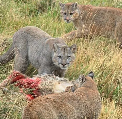 Mozambique-Safari-17