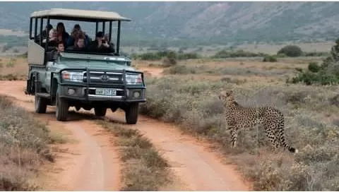 Mozambique-Safari-19