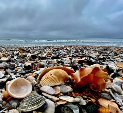 What Beach is in North Carolina (9)