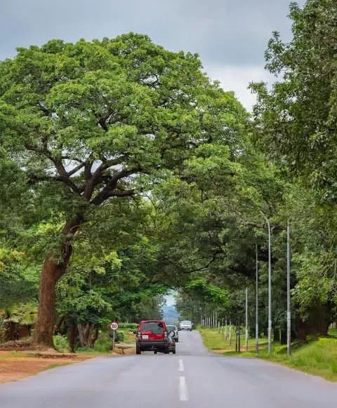 Zambia-Lusaka-3