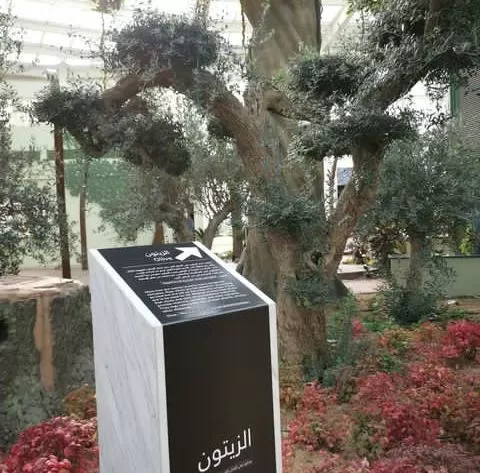 Dubai-Quran-Park-6