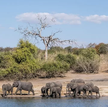 Botswana-vacation-19