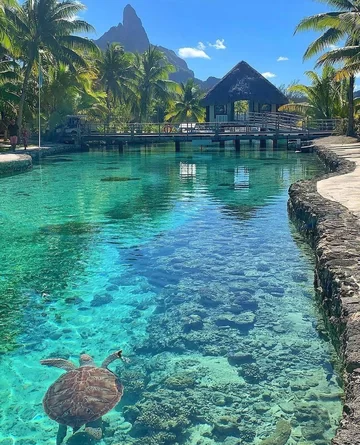 Bora-Bora-Overwater-Bungalow-13