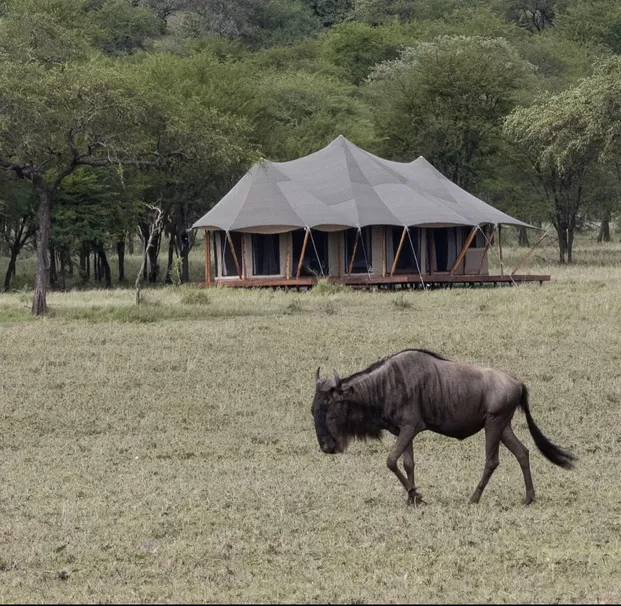 African-Safari-6