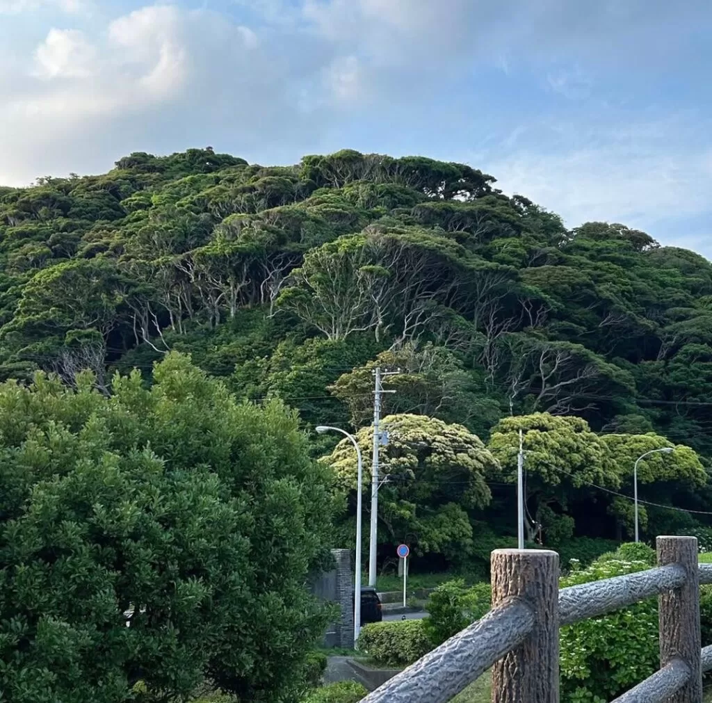 Japan Yokosuka (2)